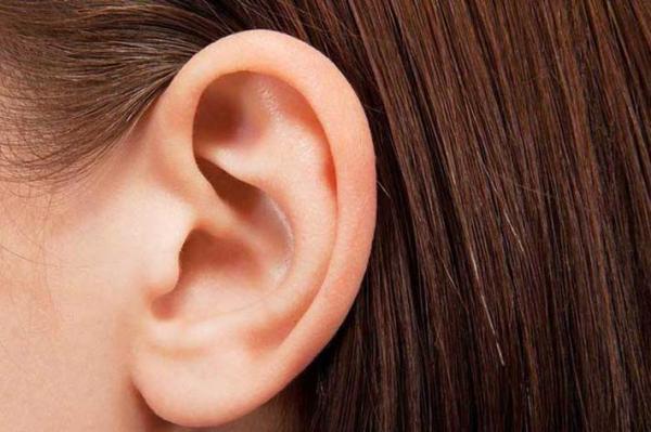 وقتی فرم بلبله گوش را دوست نداری وقتی فرم بلبله گوش را دوست نداری