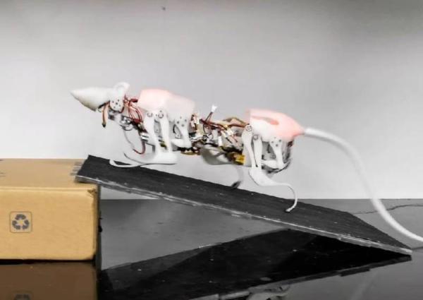 موش ربات برای ماموریت های نجات ساخته شد