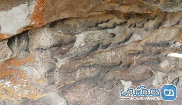 کشف سنگ نگاره های باستانی در ورزقان