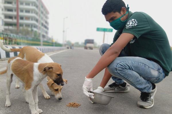 غذا های ممنوعه ای که جان سگ ها را به خطر می اندازد