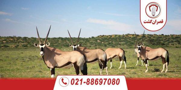 جاذبه های توریستی آفریقای جنوبی